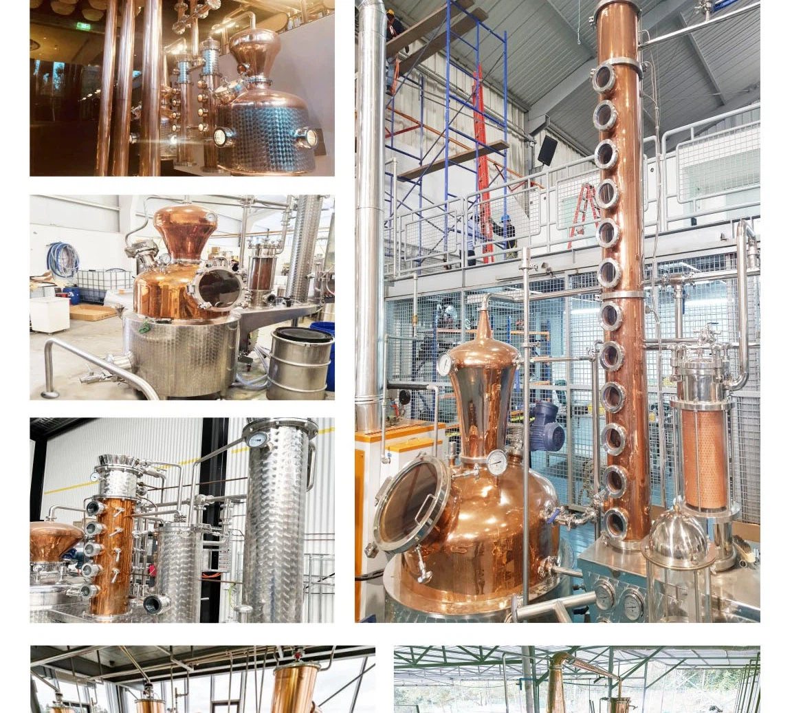 2025032614493303502 2025032614493303502