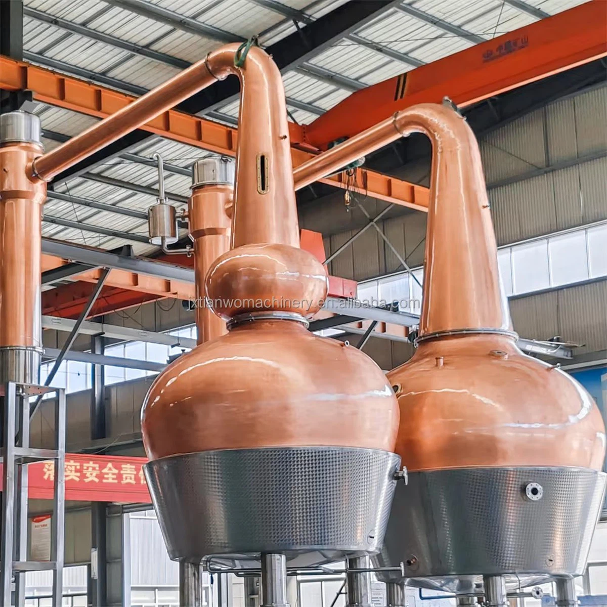 product-1000-1000 product-1000-1000